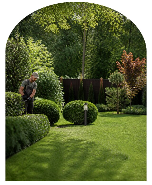 Абонентское обслуживание сада в Нефтеюганске по цене от 10168 р. | Метпроект-Нфт